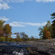 Illustration for article titled Fall Photos 1